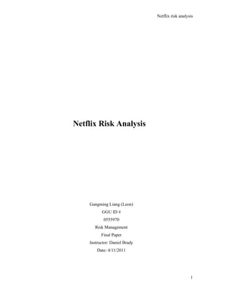 Netflix Risk Analysis   