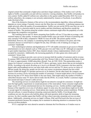 Netflix Risk Analysis | DOC