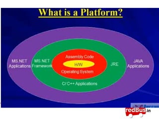 .Net framework | PPT | Programming Languages | Computing