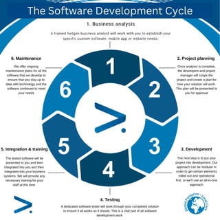 Gen Software Development Netgen Software Development Cycle Infographic.pdf