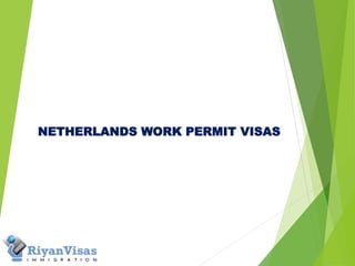 NETHERLANDS WORK PERMIT VISAS
 