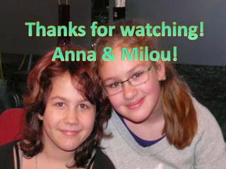 Netherlands celebrations2