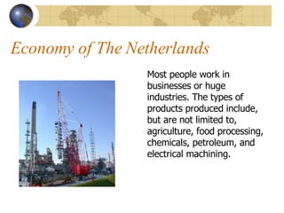Economy of The Netherlands Most people work in businesses or huge industries. The types of products produced include, but are not limited to, agriculture, food processing, chemicals, petroleum, and electrical machining. 