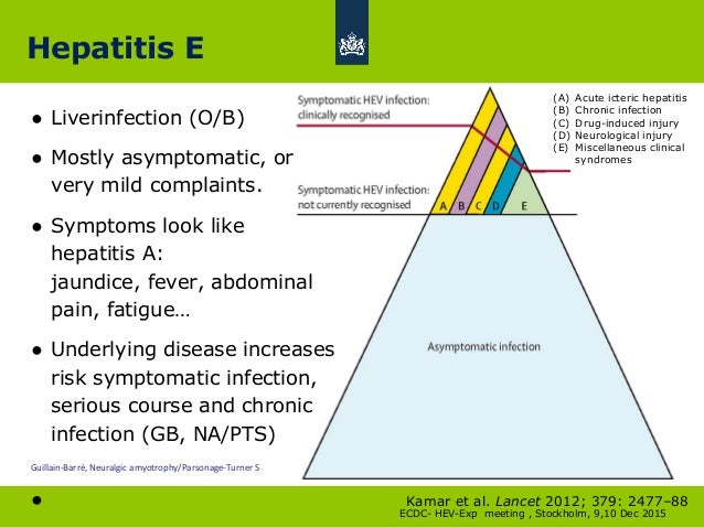 Hepatitis E Virus In The Netherlands