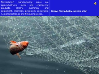 Netherlands’     manufacturing      areas are
agroinductruies, metal and engineering
products,      electric     machinery       and
equipment, chemicals, petroleum, constructio      Below: Fish Industry catching a fish
n, microelectronics and fishing industries.
 