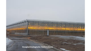 Hoogtechnologische kastuinbouw
 