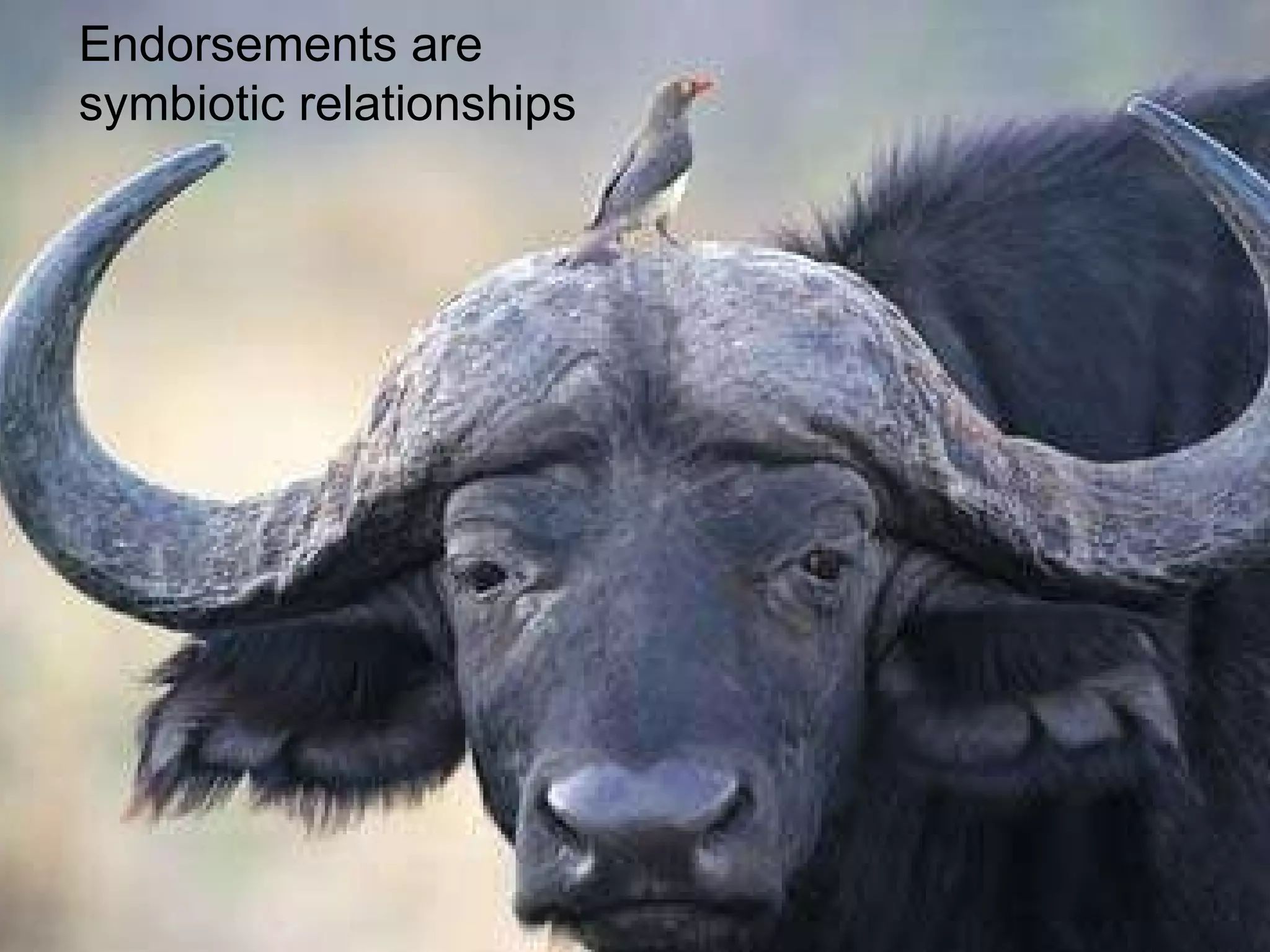 Endorsements are  symbiotic relationships 