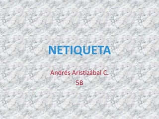 NETIQUETA
Andrés Aristizábal C.
5B
 