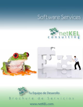 Software Services

                              nettKEL
                        c o n s u l i n g




           Tu Equipo de Desarollo
B r o c h u r e   d e   S e r v i c i o s
            www.netKEL.com
 