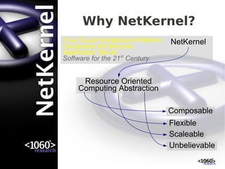 Why NetKernel?
True Cloud Architecture Platform   NetKernel
Composite Architecture
Application Server st
Software for the 21 Century


      Resource Oriented
     Computing Abstraction

                                   Composable
                                   Flexible
                                   Scaleable
                                   Unbelievable
 