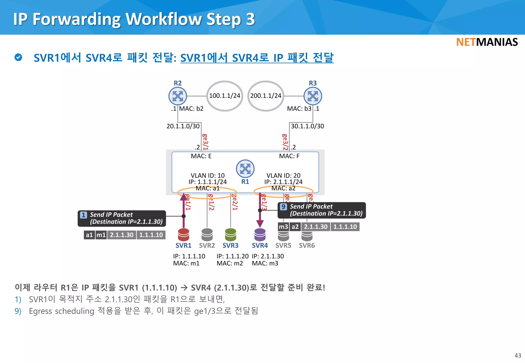1)
9)
IP Forwarding Workflow Step 3
43
IP: 2.1.1.30
MAC: m3
IP: 1.1.1.20
MAC: m2
IP: 1.1.1.10
MAC: m1
SVR1 SVR3 SVR4
100.1.1/24 200.1.1/24
ge3/2
ge3/1
.2.2
.1.1
30.1.1.0/3020.1.1.0/30
MAC: b2 MAC: b3
R2 R3
MAC: E MAC: F
R1
ge2/3
ge2/2
SVR2 SVR5 SVR6
ge1/1
ge1/2
ge2/1
ge1/3
VLAN ID: 10
IP: 1.1.1.1/24
MAC: a1
VLAN ID: 20
IP: 2.1.1.1/24
MAC: a2
a1 m1 2.1.1.30 1.1.1.10
Send IP Packet
(Destination IP=2.1.1.30)
1
m3 a2 2.1.1.30 1.1.1.10
Send IP Packet
(Destination IP=2.1.1.30)
9
 