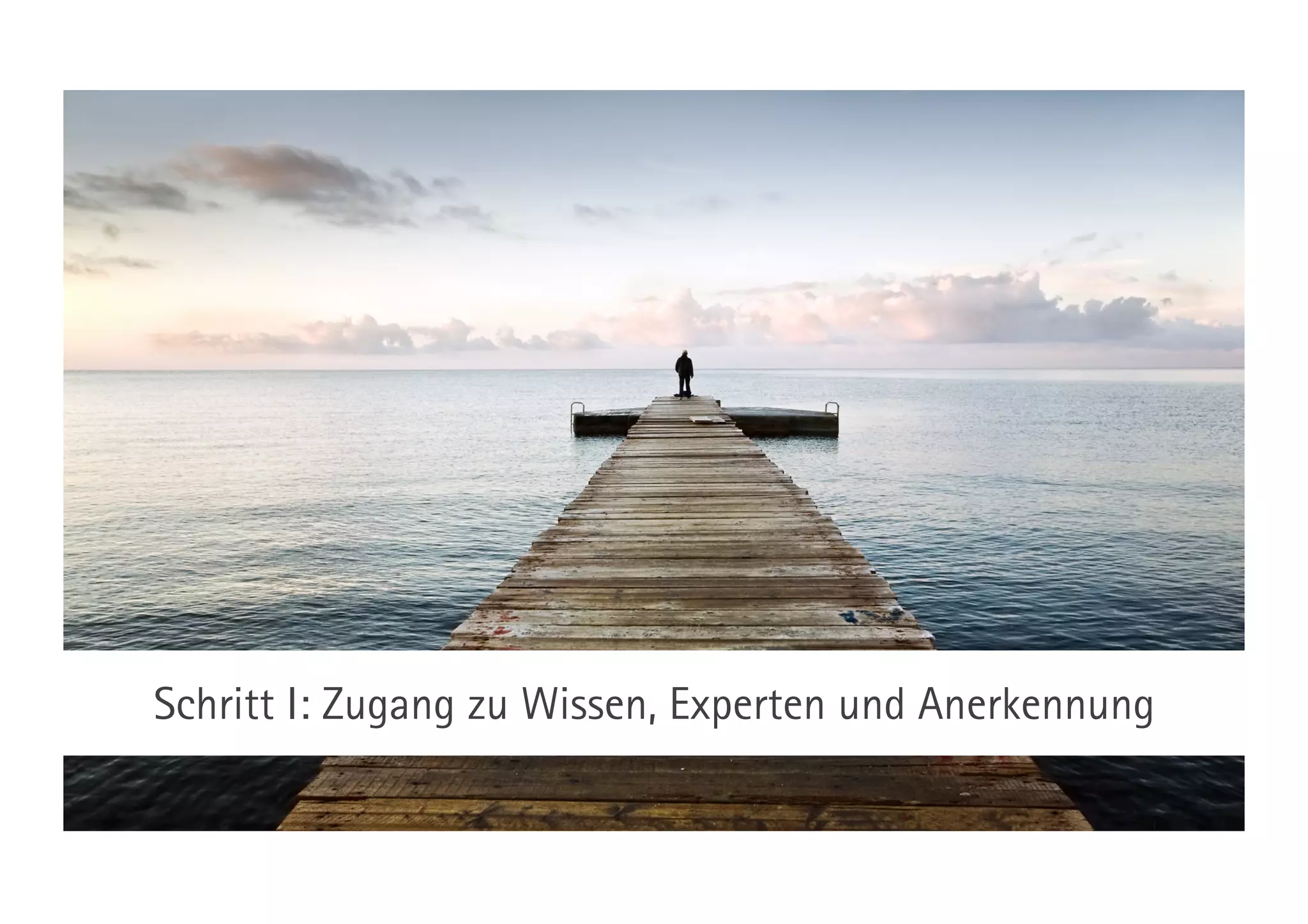 Schritt I: Zugang zu Wissen, Experten und Anerkennung
 