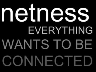 WHY  EVERYTHING  WANTS TO BE  CONNECTED netness 
