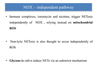 NOX – independent pathway
• Immune complexes, ionomycin and nicotine, trigger NETosis
independently of NOX , relying instead on mitochondrial
ROS
• Non-lytic NETosis is also thought to occur independently of
ROS
• Glycans in saliva induce NETs via an unknown mechanism
 