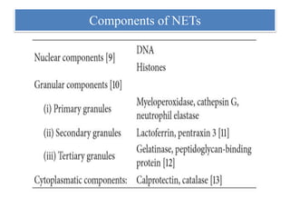 Components of NETs
 