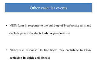 Other vascular events
• NETs form in response to the build-up of bicarbonate salts and
occlude pancreatic ducts to drive pancreatitis
• NETosis in response to free haem may contribute to vaso-
occlusion in sickle cell disease
 