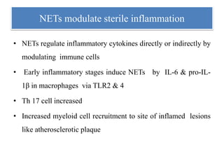 NETs modulate sterile inflammation
• NETs regulate inflammatory cytokines directly or indirectly by
modulating immune cells
• Early inflammatory stages induce NETs by IL-6 & pro-IL-
1β in macrophages via TLR2 & 4
• Th 17 cell increased
• Increased myeloid cell recruitment to site of inflamed lesions
like atherosclerotic plaque
 
