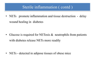 • NETs promote inflammation and tissue destruction - delay
wound healing in diabetes
• Glucose is required for NETosis & neutrophils from patients
with diabetes release NETs more readily
• NETs - detected in adipose tissues of obese mice
Sterile inflammation ( contd )
 