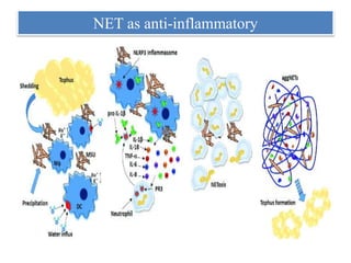 NET as anti-inflammatory
 