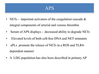 APS
• NETs - important activators of the coagulation cascade &
integral components of arterial and venous thrombin
• Serum of APS displays - decreased ability to degrade NETs
• Elevated levels of both cell-free DNA and NET remnants
• aPLs promote the release of NETs in a ROS and TLR4-
dependent manner
• A LDG population has also been described in primary AP
 