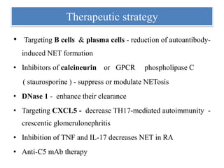• Targeting B cells & plasma cells - reduction of autoantibody-
induced NET formation
• Inhibitors of calcineurin or GPCR phospholipase C
( staurosporine ) - suppress or modulate NETosis
• DNase 1 - enhance their clearance
• Targeting CXCL5 - decrease TH17-mediated autoimmunity -
crescentic glomerulonephritis
• Inhibition of TNF and IL-17 decreases NET in RA
• Anti-C5 mAb therapy
Therapeutic strategy
 