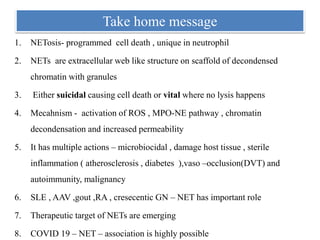 Take home message
1. NETosis- programmed cell death , unique in neutrophil
2. NETs are extracellular web like structure on scaffold of decondensed
chromatin with granules
3. Either suicidal causing cell death or vital where no lysis happens
4. Mecahnism - activation of ROS , MPO-NE pathway , chromatin
decondensation and increased permeability
5. It has multiple actions – microbiocidal , damage host tissue , sterile
inflammation ( atherosclerosis , diabetes ),vaso –occlusion(DVT) and
autoimmunity, malignancy
6. SLE , AAV ,gout ,RA , cresecentic GN – NET has important role
7. Therapeutic target of NETs are emerging
8. COVID 19 – NET – association is highly possible
 
