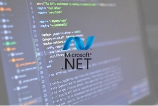 Dot Net Application Development | .Net Developers | Chetu