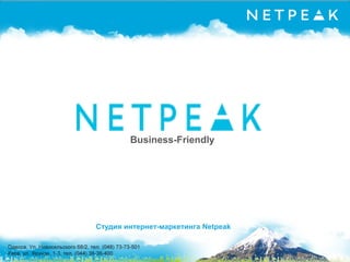 Business-Friendly
Студия интернет-маркетинга Netpeak
 