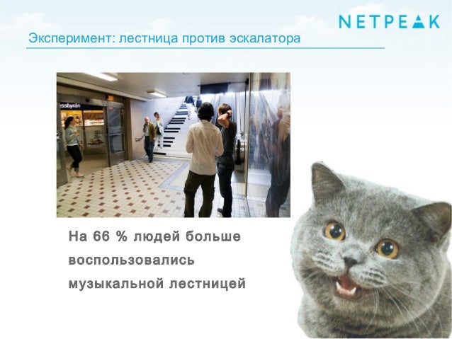 Прикольные смс стихи мужу на день рождения Прикольные смс стихи мужу на день рождения