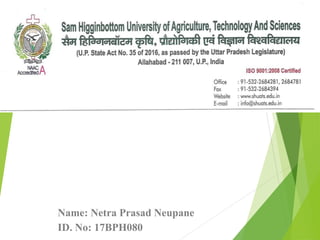 Name: Netra Prasad Neupane
ID. No: 17BPH080
 