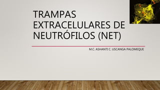 TRAMPAS
EXTRACELULARES DE
NEUTRÓFILOS (NET)
M.C. ASHANTI C. USCANGA PALOMEQUE
 