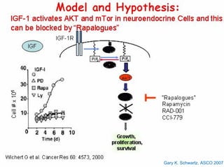 Gary K. Schwartz, ASCO 2007
 