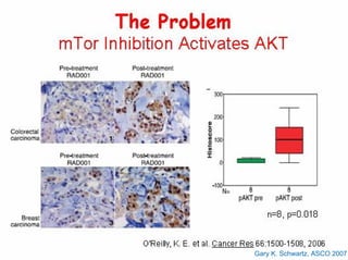 Gary K. Schwartz, ASCO 2007
 