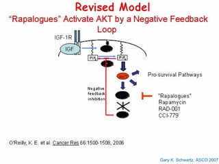 Gary K. Schwartz, ASCO 2007
 