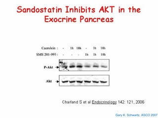 Gary K. Schwartz, ASCO 2007
 