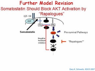 Gary K. Schwartz, ASCO 2007
 