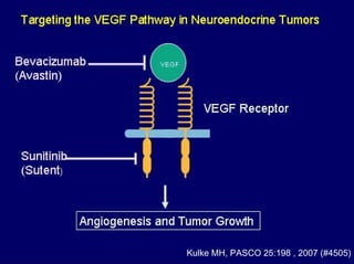 Kulke MH, PASCO 25:198 , 2007 (#4505)
 