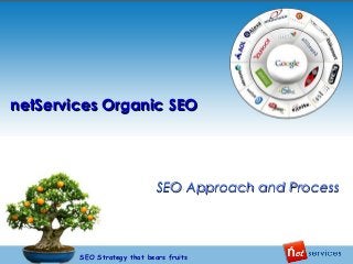 netServices Organic SEO

SEO Approach and Process

SEO Strategy that bears fruits

 