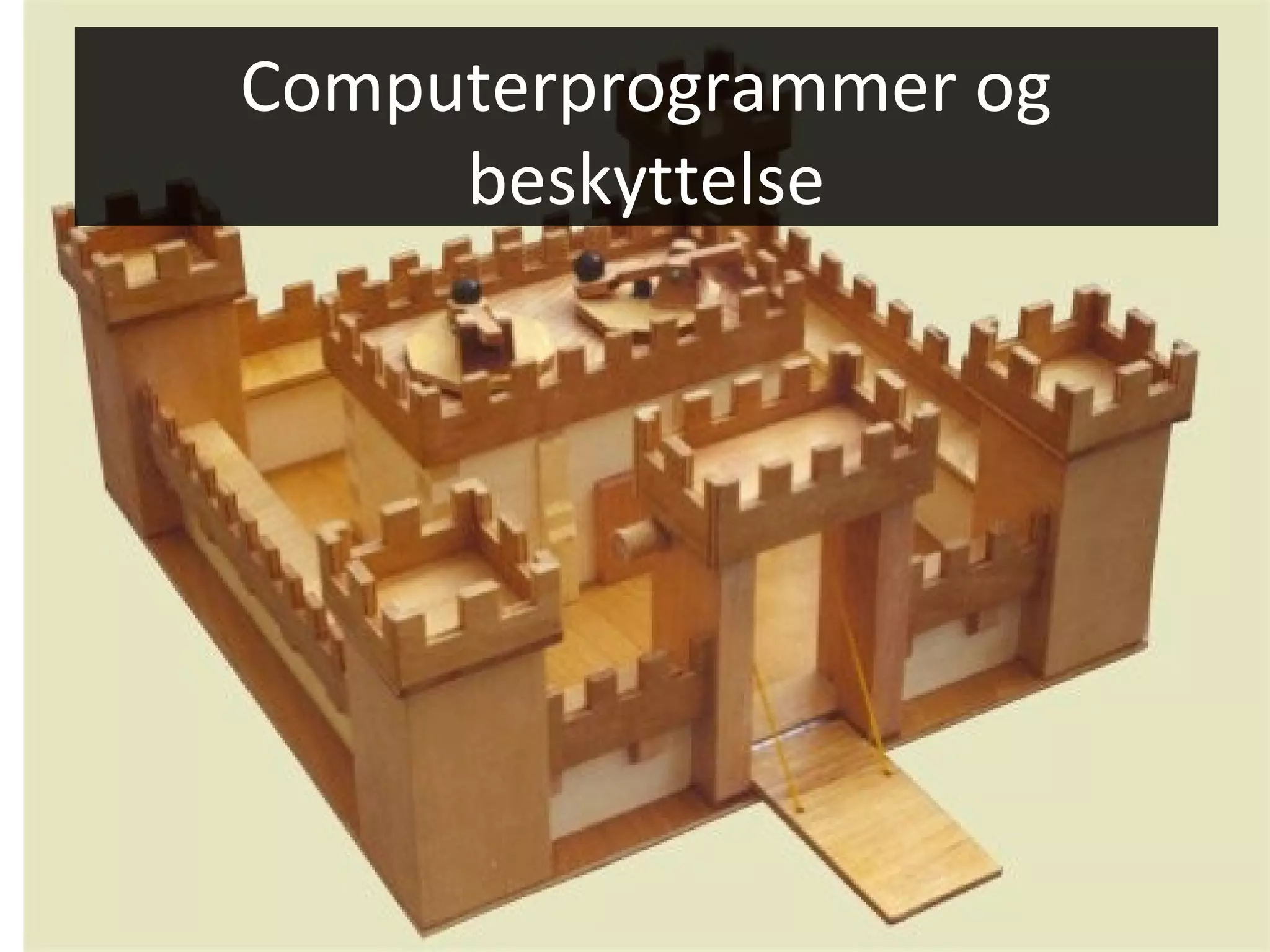 Computerprogrammer og
     beskyttelse
 