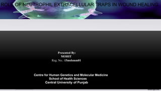 1
Presented By:
MOHIT
Reg. No.: 15mslsmm01
Centre for Human Genetics and Molecular Medicine
School of Health Sciences
Central University of Punjab
ROLE OF NEUTROPHIL EXTRACELLULAR TRAPS IN WOUND HEALING
 