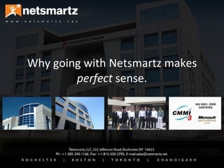 Why going with Netsmartz makes  perfect  sense. 