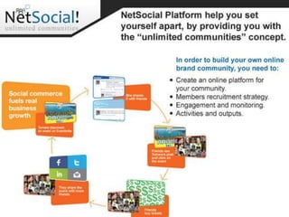 NetSocial Platform - thenetsocial.com