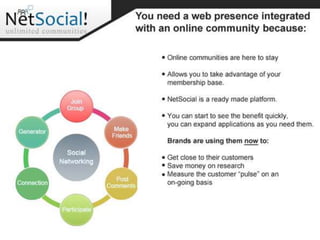 NetSocial Platform - thenetsocial.com
