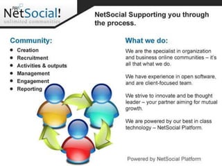 NetSocial Platform - thenetsocial.com