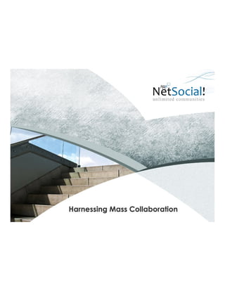  NetSocial Platform - TheNetSocial.com