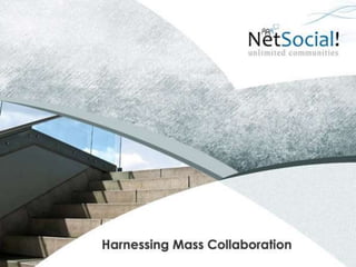   NetSocial Platform - The NetSocial