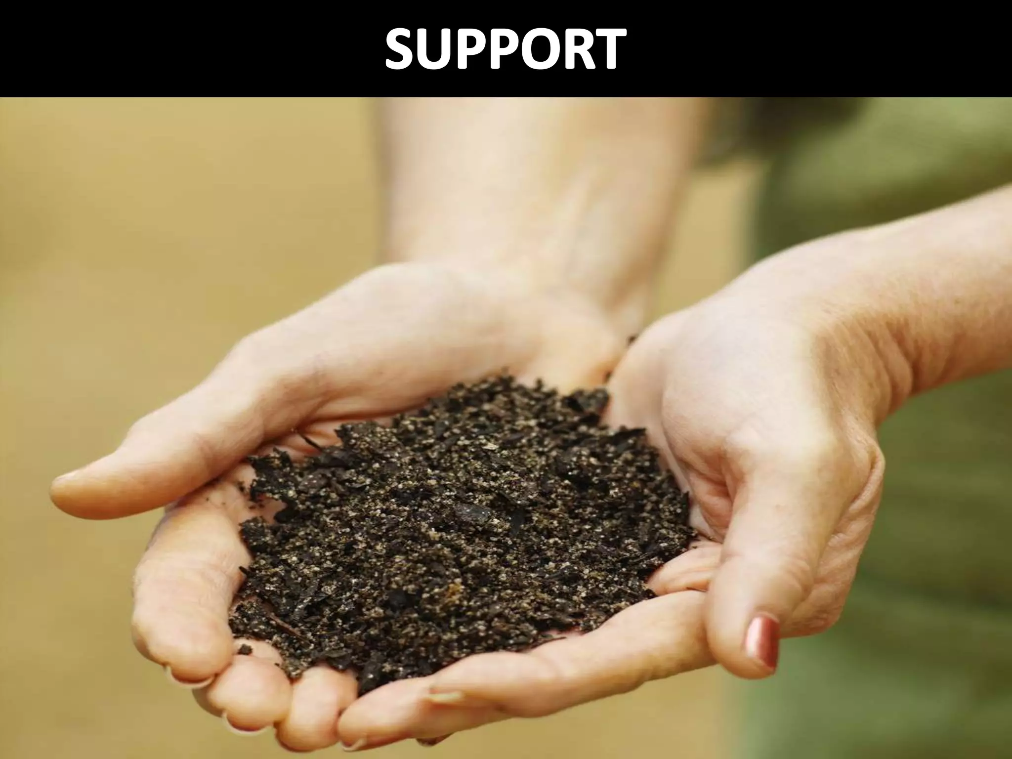 Digital Scholarship From the Bottom Up: The Library's Role in Open Access Student Journals (Netspeed 2013)