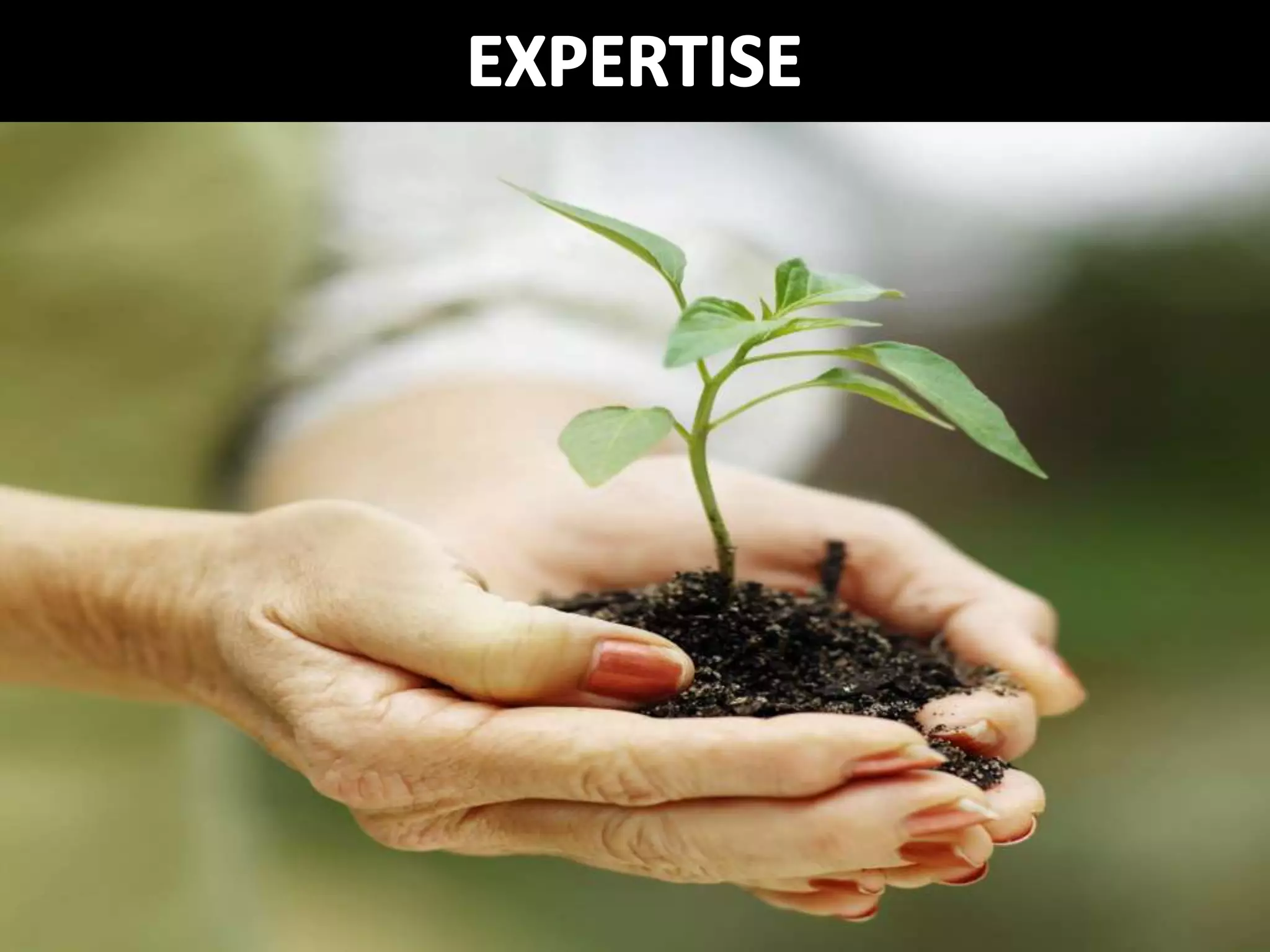 Digital Scholarship From the Bottom Up: The Library's Role in Open Access Student Journals (Netspeed 2013)