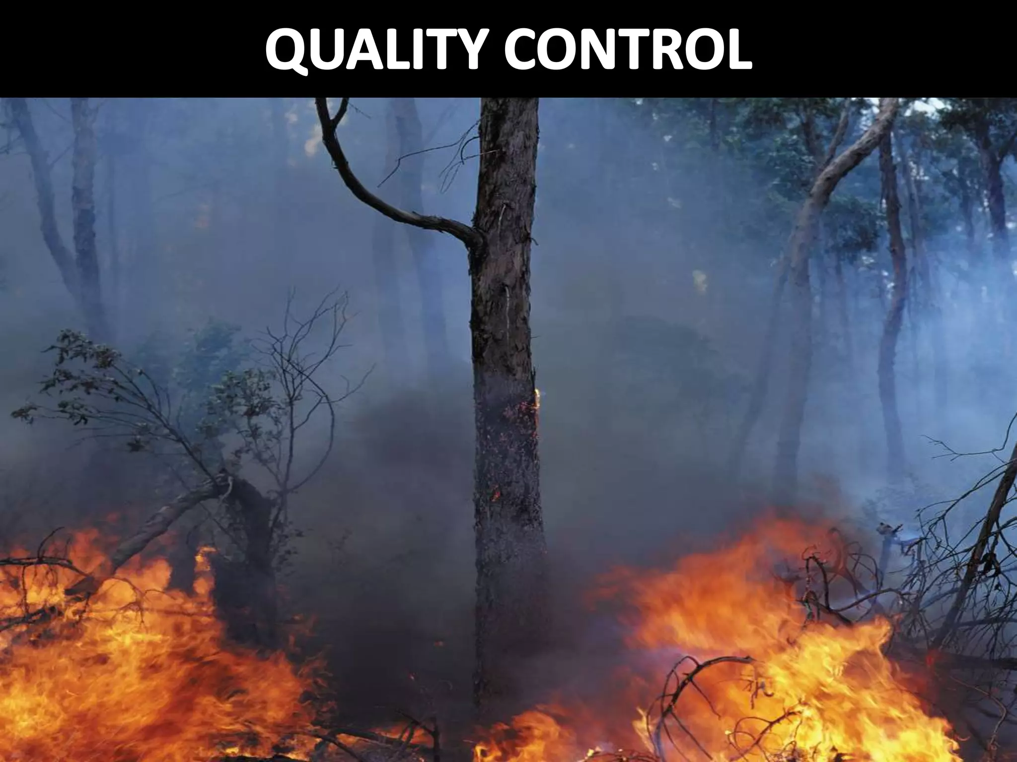 Digital Scholarship From the Bottom Up: The Library's Role in Open Access Student Journals (Netspeed 2013)