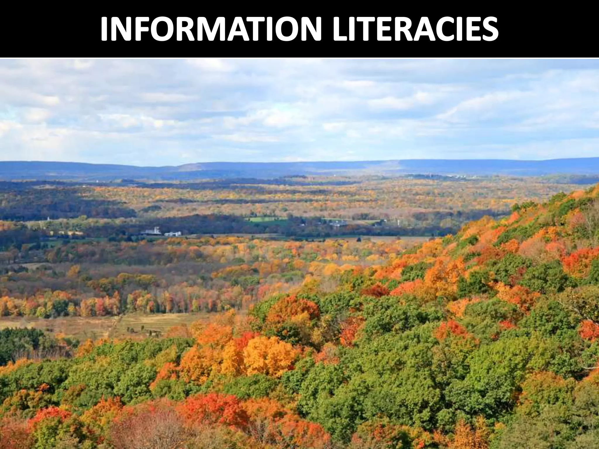 Digital Scholarship From the Bottom Up: The Library's Role in Open Access Student Journals (Netspeed 2013)